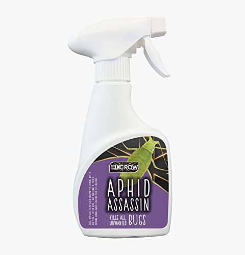 UK GROW:- 500ML - Aphid Assassin - Powerful Insect Killer Sprays Protect Your Plants from ALL Pests- Perfect For Edible Crops (500ML, Aphid Assassin)