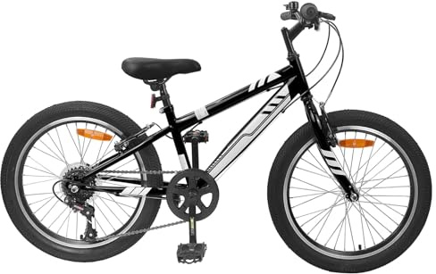 vidaXL Vélo de Montagne 20 Pouces 6-Speed pour 5-8 Ans Noir, Vélo d'aventure, Classique, pour Loisirs, Fitness, Tout-Terrain, guidons réglables, télescopique
