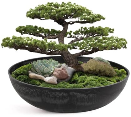 matches21 - Vaso per piante da esterno, grande ciotola decorativa vintage, colore nero, marmorizzato, 30 x 9 cm, per giardino, decorazione per balcone o cimitero