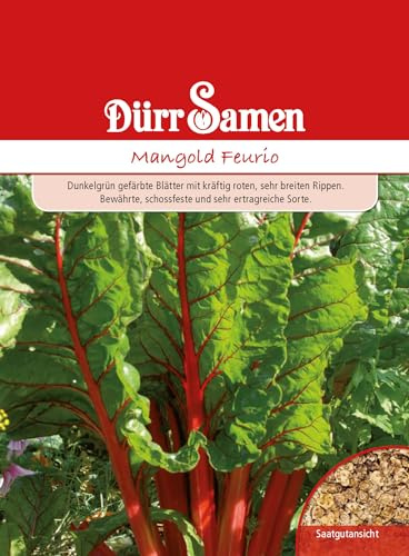 Mangold Samen Feurio Mangoldsamen ca 100 Korn Saatgut Gemüse Balkon Garten Hochbeet Kübel Dürr Samen