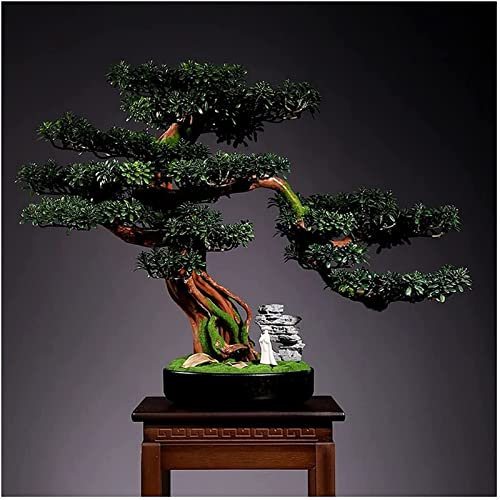 SNHHNSW Künstlicher Bonsai, künstlicher Baum, Simulation, Willkommens-Kiefer, Bonsai, Wohnzimmer, Desktop, Grünpflanzen, Topfpflanze, Veranda, künstliche Pflanze, Thuja-Ornamente als (Größe: C),
