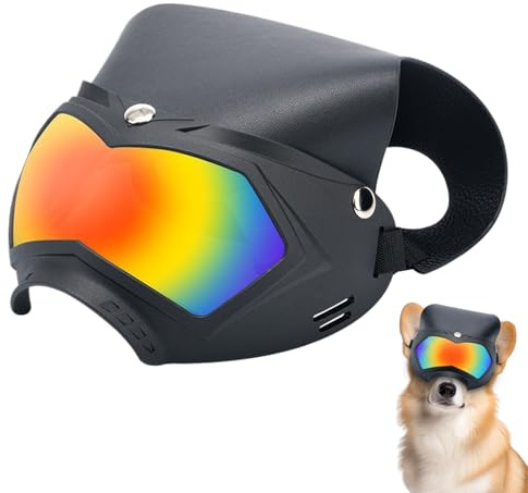 Hundglasögon – hundsolglasögon | hundglasögon anti-UV-skydd | vindtäta solglasögon för hundar | dammtät UV katt solglasögonhatt | stötsäker hundhjälm med justerbar rem, avtagbart husdjurstillbehör