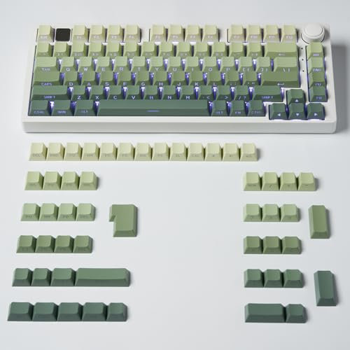 mintcaps PBT Doubleshot Keycaps 134 Keys Gradient Green Backlit OEM Profile Keycaps Side Print Shine Through Custom Keycaps Set for 60% 65% 75% 100% Cherry Gateron MX Switches Mechanical Keyboard