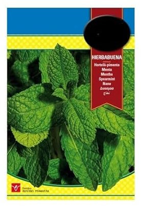 Semillas de Hierba Buena Hierba Mediterránea para Cocinar y para Cocktails