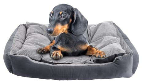 ASelected Medium Dog Bed, 70x50x11cm Washable Cat Beds with Anti-Slip Bottom, Indoor Puppy Bed, Orthopedic Dog Beds Soft Pet Sofa Bed for Pet Dog Cat - Grey