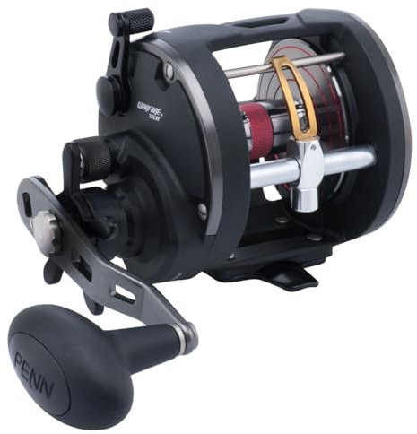 Penn Warfare Level Wind Reel 30 - Rechtshand Multirolle zum Hochseeangeln, Dorschrolle, Multi Angelrolle, Meeresrolle