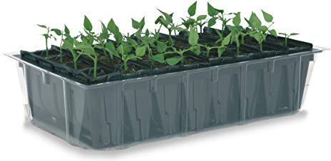 Haxnicks Rapid Rootrainers | Reusable Shallower Root Trainers | Seed Planting | Quick Growing Plants | Salads Bedding Plants Flower Cuttings | Multi-Color, 32 Cells | RT020101
