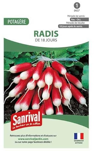 Graines Radis de 18 jours