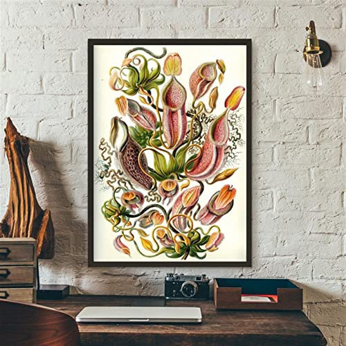 Canvas Painting Carnivorous Plant Poster and Print Nepenthaceae Tropical Pitcher Plants Modern Wall Picture for Home Office Decoration Frameless (Color : Multicolor, Size (Inch) : 60x90cm no frame)