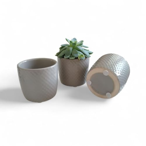 Genérico Alma Terra_ Macetas de Cerámica, Macetas Decorativas, Maceteros para Cactus, Minimaceteros para Plantas, Set Tiestos Decorativos, Maceta Cactus y Suculentas, Pack 3 Unidades.