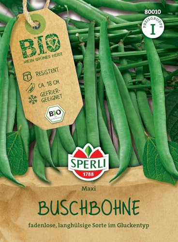 Sperli BIO Buschbohnensamen, lang 80010 - fadenlose, langhülsige Sorte im Gluckentyp - Fruchtlänge ca. 18cm - Samen Gemüse, Gemüsesamen, Gemüse Pflanzen