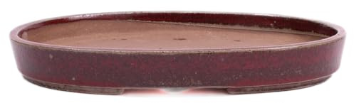 Bonsai-Shopping Bonsai - Schale, Waldschale, oval 39 x 27 x 5 cm Bordeaux, frostfest 51345