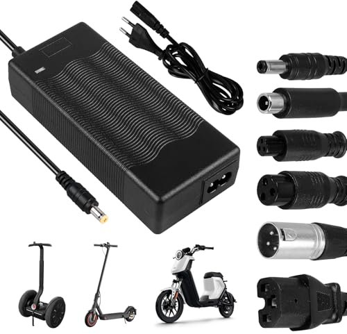 Hoverboard Ladekabel E Scooter Ladegerät: E Scooter Ladekabel, 36V Ladegerät E Scooter, Ladekabel Hoverboard 42V 2A Netzteil mit 6 Anschlüssen, Akku Ladegerät für Elektro Scooter, Elektroroller