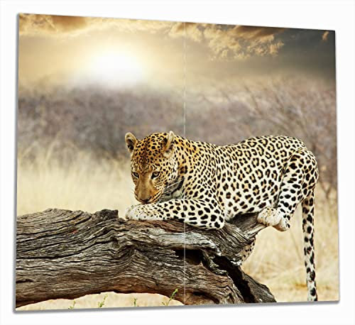 Wallario Herdabdeckplatte/Spritzschutz aus Glas, 2-teilig, 60x52cm mit 8mm hohen Füßen, für Ceran- und Induktionsherde, Leopard auf Baumstamm in Afrika