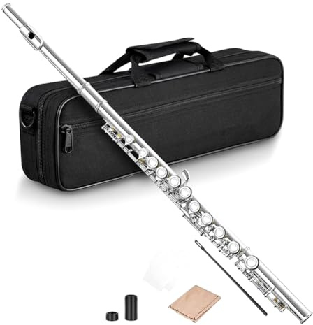 Wrtysully 16 Geschlossene Offene Löcher C-Tonart Professionelles Querflöte Konzertmusikinstrument mit Box Reinigungstuch Stockhandschuhe