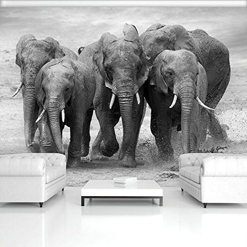 Forwall - Vlies Fototapete Elefanten 312x219 cm - Fototapeten - Tapeten - für Wohnzimmer Schlafzimmer - Vliestapete Wandtapete Tapete 3D Effekt- inkl. Kleister - Natur