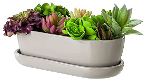 botle Keramik Blumentopf Blumenschale Kakteenschale Untersetzer Wasserloch Kakteen Bonsai Sukkulenten (oval, grau)