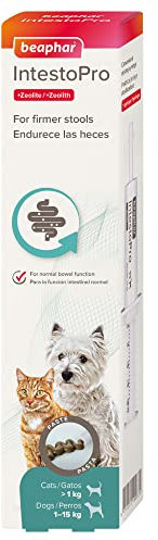 Beaphar – IntestoPro Prebiotic Stool Firming Paste for Cats and Small Dogs (<15kg) – Natural Active Ingredients – Aids digestive upsets and diarrhoea - Supports Healthy Gut Function – 1 syringe