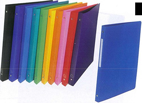 10 Ringordner A4 2 Ringe 16mm stark farbig sortiert (A4 2 Ringe 16mm, sortiert)