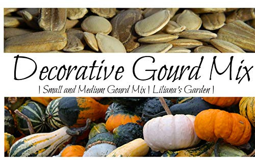 “Decorative Mix” Small and Medium Gourd Seeds – 7+ Varieties / Packet – Warted, Smooth, Striped, Daisy, and More | Cucurbita pepo | Never GMO, Always Heirloom | USA Grown Seeds By Liliana's Garden |