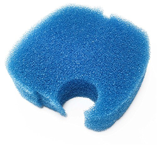 SunSun Ersatzteil für HW-404B Aquarium Außenfilter – Filtermatte – 6 cm – grob – blau – Filtermaterial Filterschwamm für Aquarium Aquaristik