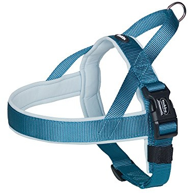 Nobby Norwegergeschirr Classic Preno, hellblau/hellblau L: 38-50 cm + 36 cm, B: 20/25 mm, 1 Stück