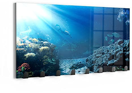 DEQORI Wandgarderobe Glas & Metall | Motiv Korallenriff-Taucher | 60x30 cm | Design Haken-Leiste modern | Garderoben-Paneel für Flur, Wohnzimmer & Schlafzimmer | magnetisch & beschreibbar