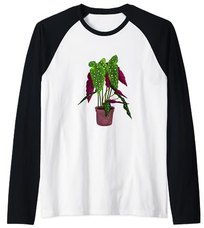 Cute Begonia Maculata houseplant in the pot floral for girl Raglan Baseball Tee