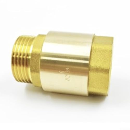 Clapet anti-retour en laiton à filetage G conçu pour les tuyaux d'alimentation en eau et d'irrigation, flux unidirectionnel et refoulement dans divers projets (extérieur de 2,5 cm - 260 g)