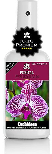 PURITAL Premium Orchideen Spray - Orchideenpflege - gesunde Blätter und üppige Blüten - Profi Nährstoffe und vitalisierende Blatt-Pflege. Orchideen - Pflanzen düngen - Dünger