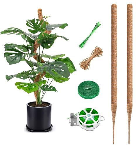 Monstera Lot de 2 tuteurs en coco flexible 75 cm bâton de mousse pour plantes grimpantes intérieur