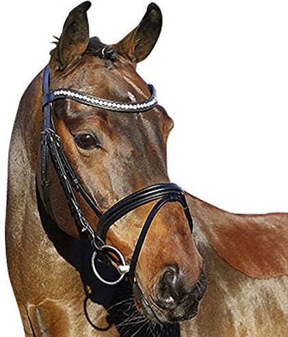 Euroriding Trense La Rochelle ENGL. ohne Zügel, Größe:Warmblut, Farbe:schwarz