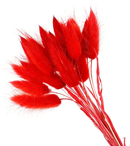 YIWOYI 50 Stück Ewige Blumen, getrocknetes Gras, langer Zweig, natürliche getrocknete Blumen, bunte Plüschblumen, Kaninchenschwanz, Fuchsschwanz, Gras für Heimdekoration (rot)