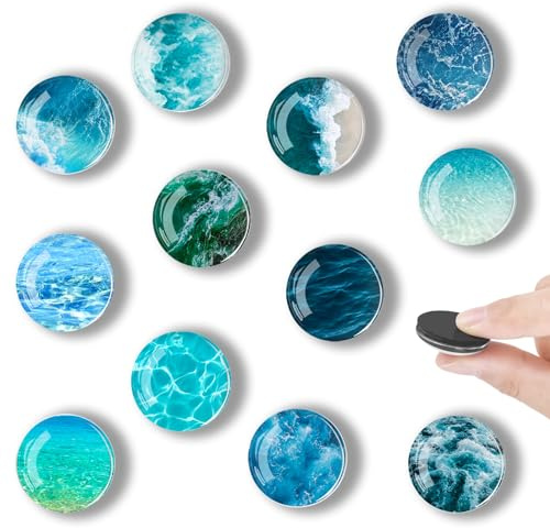Kühlschrankmagnete, 12 Stück Kühlschrank Magnet, Magnete für Magnettafel für Kühlschrank, Whiteboard, Pinnwand, Küche, Kinder und Erwachsene Geschenk (Ozean)