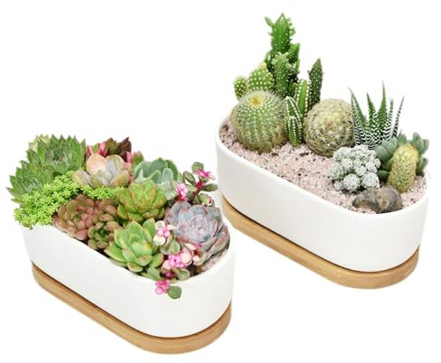 Irunfast 2Pcs White Ceramic Succulent Plant Pot, Cactus Pot With Bamboo Tray, Indoor Outdoor Cactus Pots, Oval Small Plant Pots for Office Hotel Home Decoration
