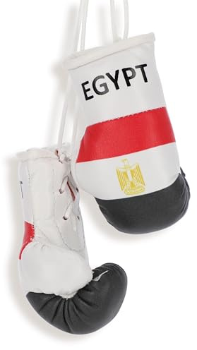 ProSx Mini Boxhandschuhe fürs Auto I Autospiegel Anhänger I Flaggendesigns I Rückspiegel I Geschenk I Boxhandschuhe Deko fürs Auto I Innenspiegel Accessoires
