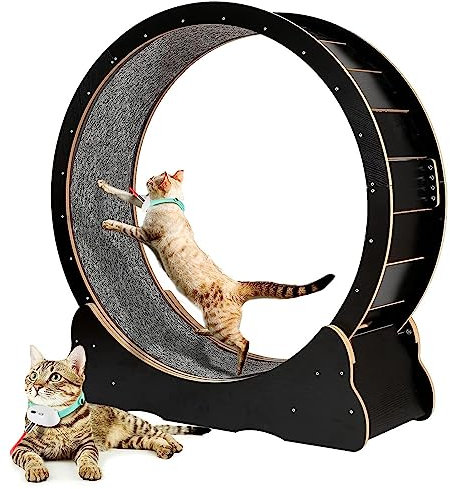 Oiyekntd Großes Katze-Übungsradspielzeug mit Kratzern und Lagerung, Innenverkleidung für Katzen Laufen Bewegung ＆ Spielen, Katzenlaufrad mit No-Gap-Design und Verriegelungsvorrichtung,Black-S