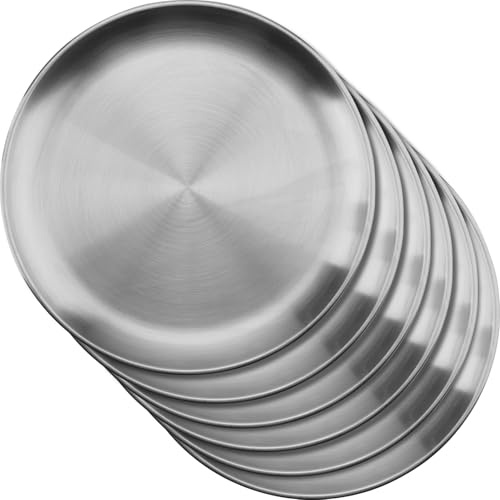 LOSYHU Lot de 6 assiettes rondes en acier inoxydable 304 de 26 cm - Argenté - Pour camping, pique-nique et utilisation en extérieur
