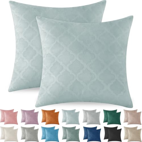 Ystyle Juego de 2 Funda Cojin 60x60 Fundas de Cojines de Terciopelo Decorativas Cuadradas para Decoración del Hogar Sofá Dormitorio Coche Estar Sillas Jardin Habitación Sólido, Gris Verde