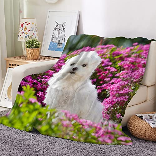 3D Plaid Couverture Polaire en Flanelle Chiot Maltais Douce Chaude Microfibre ete Hiver Couverture 100x130 Chien Animal Linge de lit Couvre-lit Couverture de cnapé pour Bebe Fille Garcon Enfant