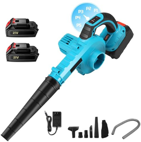 Laubbläser, 21 V, kabellos, mit Akku und Ladegerät, Reinigung von Schnee und Laubbläser zum Ausblasen von Blättern/Schnee/Staub (2 Akku)