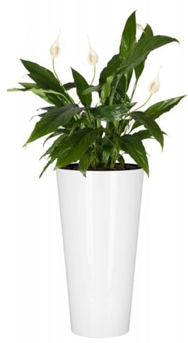 B2C Planter Plant Pot Flowerpot White Glossy Tubus Outdoor Garden Balcony Indoor Modern Tall Shiny Modern (H 47.6cm x D 25 cm)