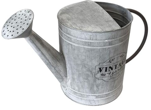 Annaffiatoio zincato, in metallo, per irrigare il giardino, lo zinco, vintage, 5 litri