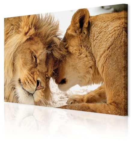 decomonkey Wandbilder Wandbilder Löwe Afrika 120x80 cm 1 Teilig Kunstdruck | Leinwandbilder, Bild auf Leinwand, Wanddeko, Wohnzimmer, Wanddekoration, Tiere, Wildlife, Natur