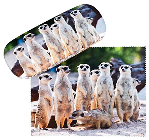 VON LILIENFELD Brillenetui Erdmännchen Motiv Etui Brille Mikrofaser Brillenputztuch Brillenbox Stabiles Hardcase Set mit Stoff bezogen