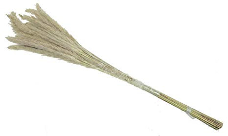 Dekoringe / Trockenblumen / Metallringe / Hochzeitsdeko / Hoops / Blumenringe, Anzahl:1er Einzel, Auswahl:Pampaswedel
