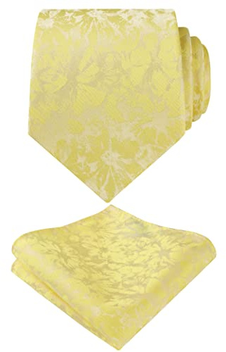 Alizeal Paisley Herren Krawatte und Einstecktuch Sets