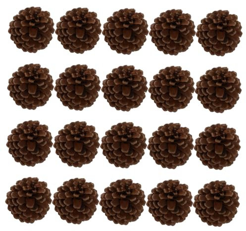 TOPPERFUN 20stücke Dekoration Echte Natürliche Tannenkugeln Für DIY-projekte Und Foto-Dekoration Geeignet Für Wohnzimmer Und Büro