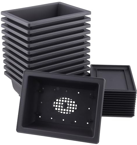 SINJEUN 12 Set Bonsai Schale, 16,5 x 12 x 6 cm Trainingstöpfe aus Kunststoff mit Untersetzer, Purpurfarbener Sand Rechteckige Bonsaitöpfe für Gärten