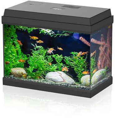 AQPET Acquario in Vetro per Pesci Tropicali Completo di Accessori Filtro Luce Simply, 30 39x22x30 cm 30 Litri